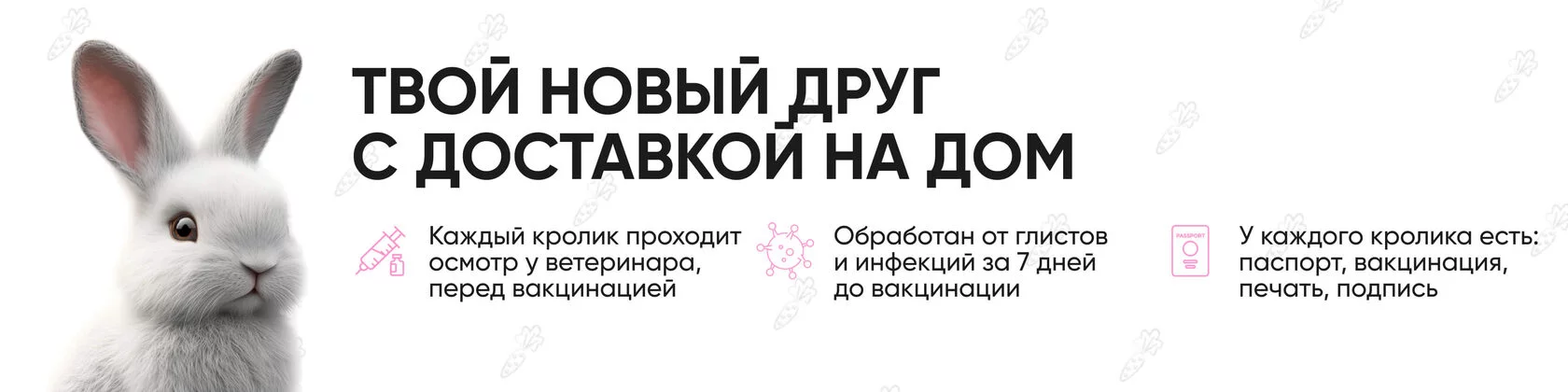 Почему крольчиха съедает своих крольчат, отказывается от молодняка или топчет потомство