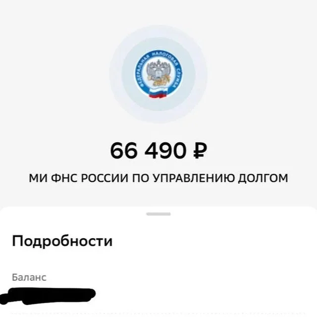 Скрин портфеля