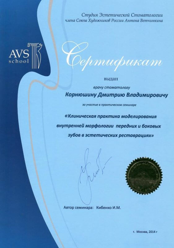 «Клиническая практика моделирования внутренней морфологии передних и боковых зубов в эстетических реставрациях» — AVS School, Кибенко И. М., Москва, 2014