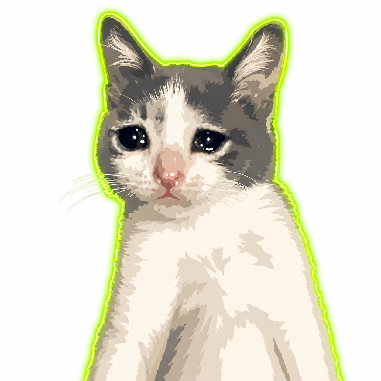 Котик финансовая подушка