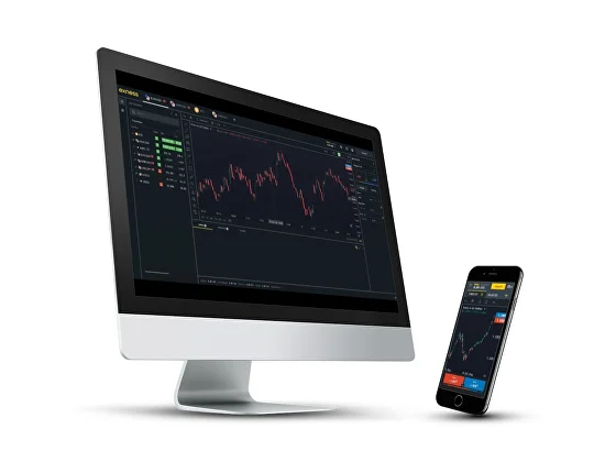 Exploring the Essential Features of a Web Terminal