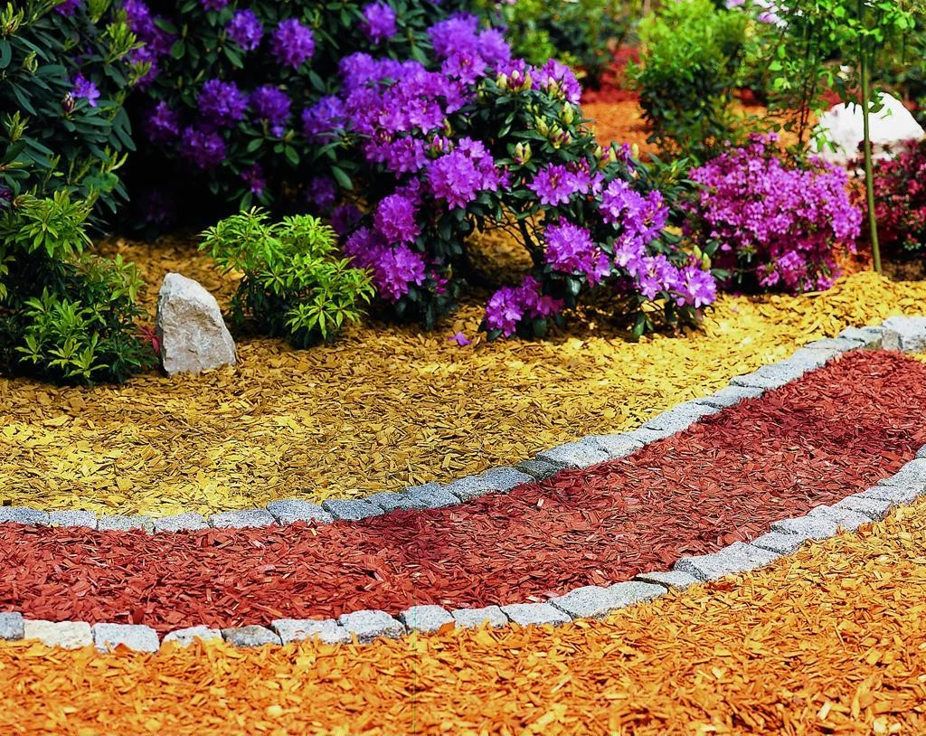 Фото применения мульчи на участке