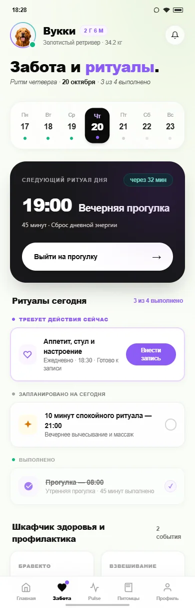 Экран Забота и ритуалы в Vukki Pulse