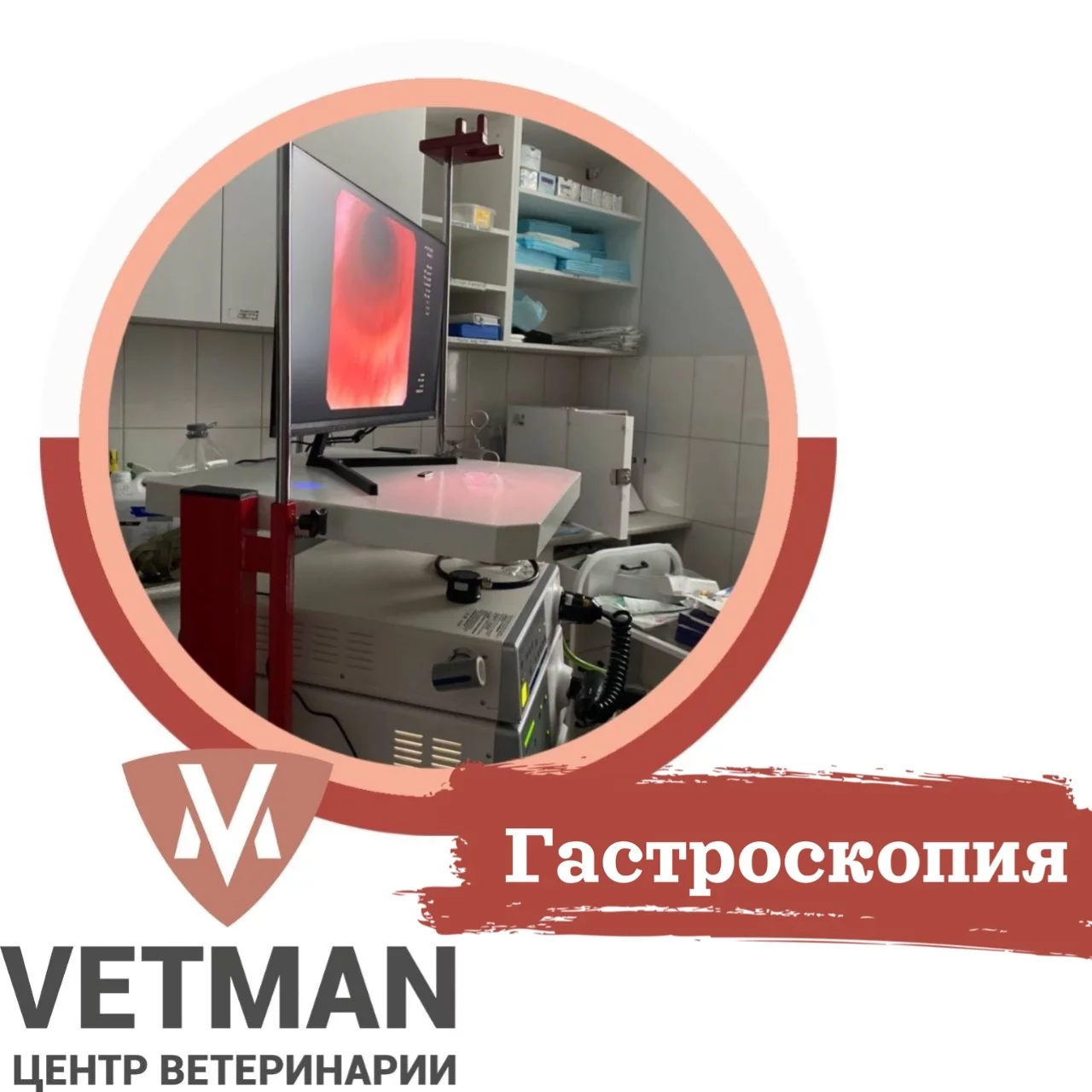 Центр Ветеринарии VETMAN в Ижевске