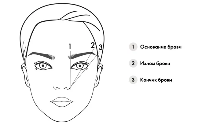 Как сделать правильно форму бровей по типу лица