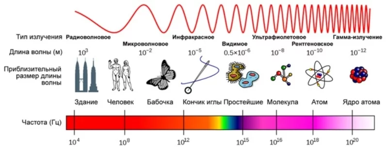 Лечение биополем пчел