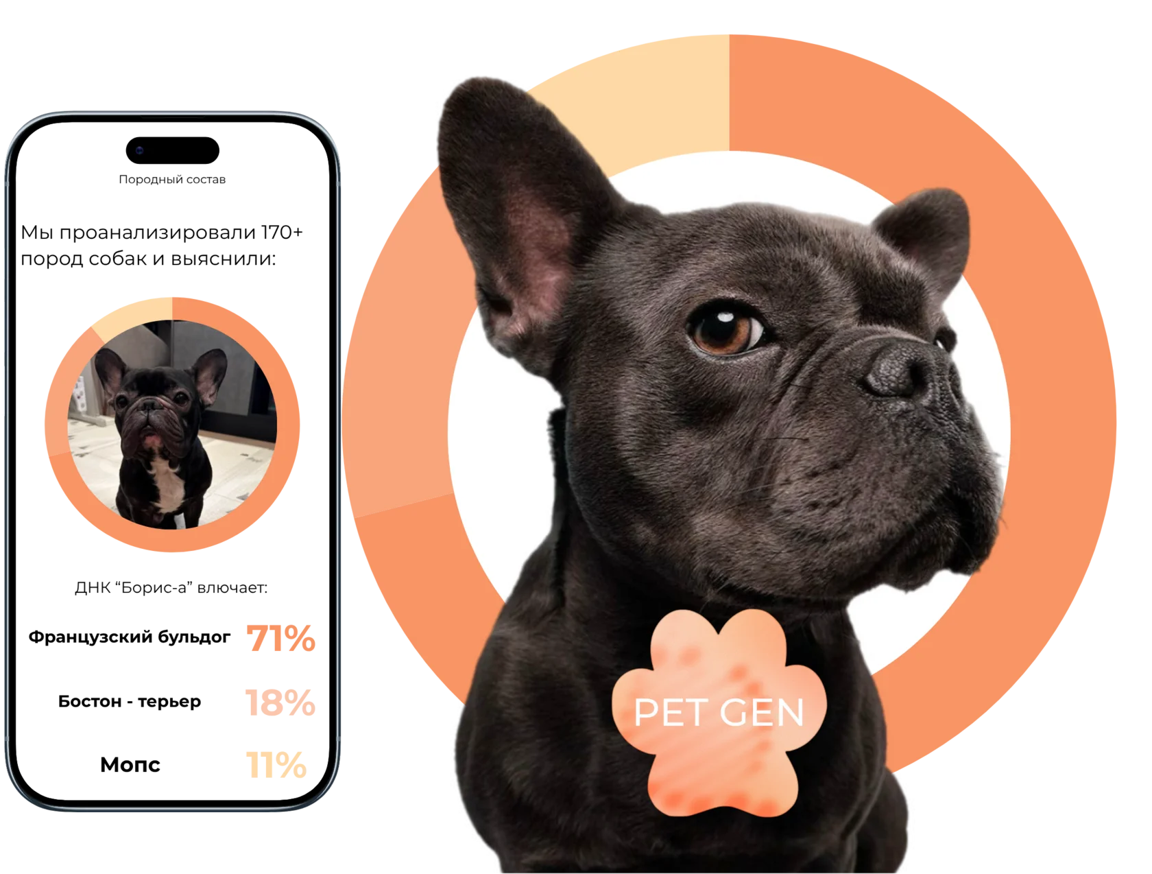 PET GEN — ДНК-портрет вашего питомца