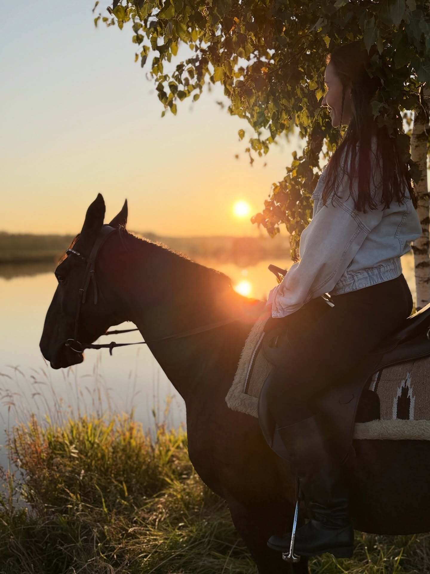 Лошадь и всадница у озера в вечернем свете — фотография клуба ЛаФа