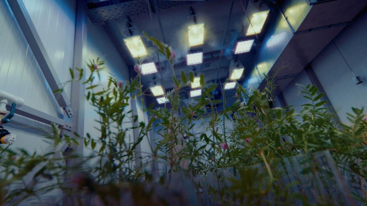 Кадр новеллы «Поле для вычислений»