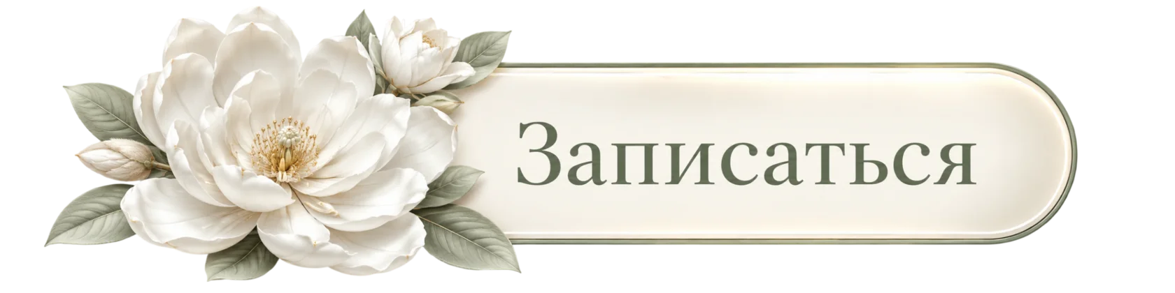 Записаться