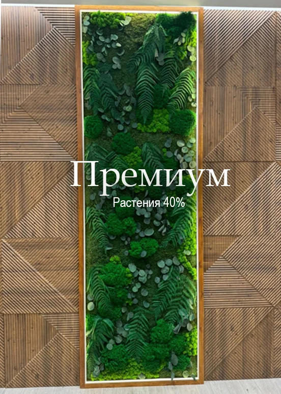 Панно из стабилизированного мха со стабилизированными растениями — Mossify