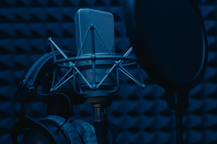 Запись вокала в студии Gonnasound