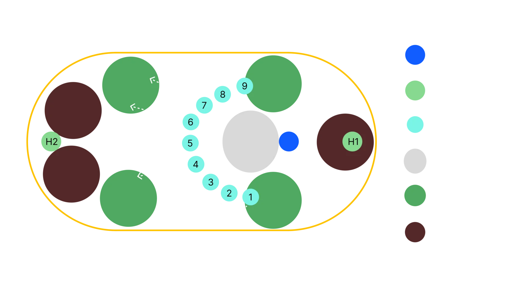 Схема арены и порталов