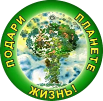Новый любимец русского интернета — добрый цветочник из тиктока Кирилл Кветка Новый любимец русского интернета — добрый цветочник из тиктока Кирилл Кветка