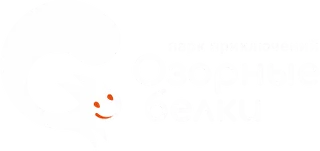 Парк приключений