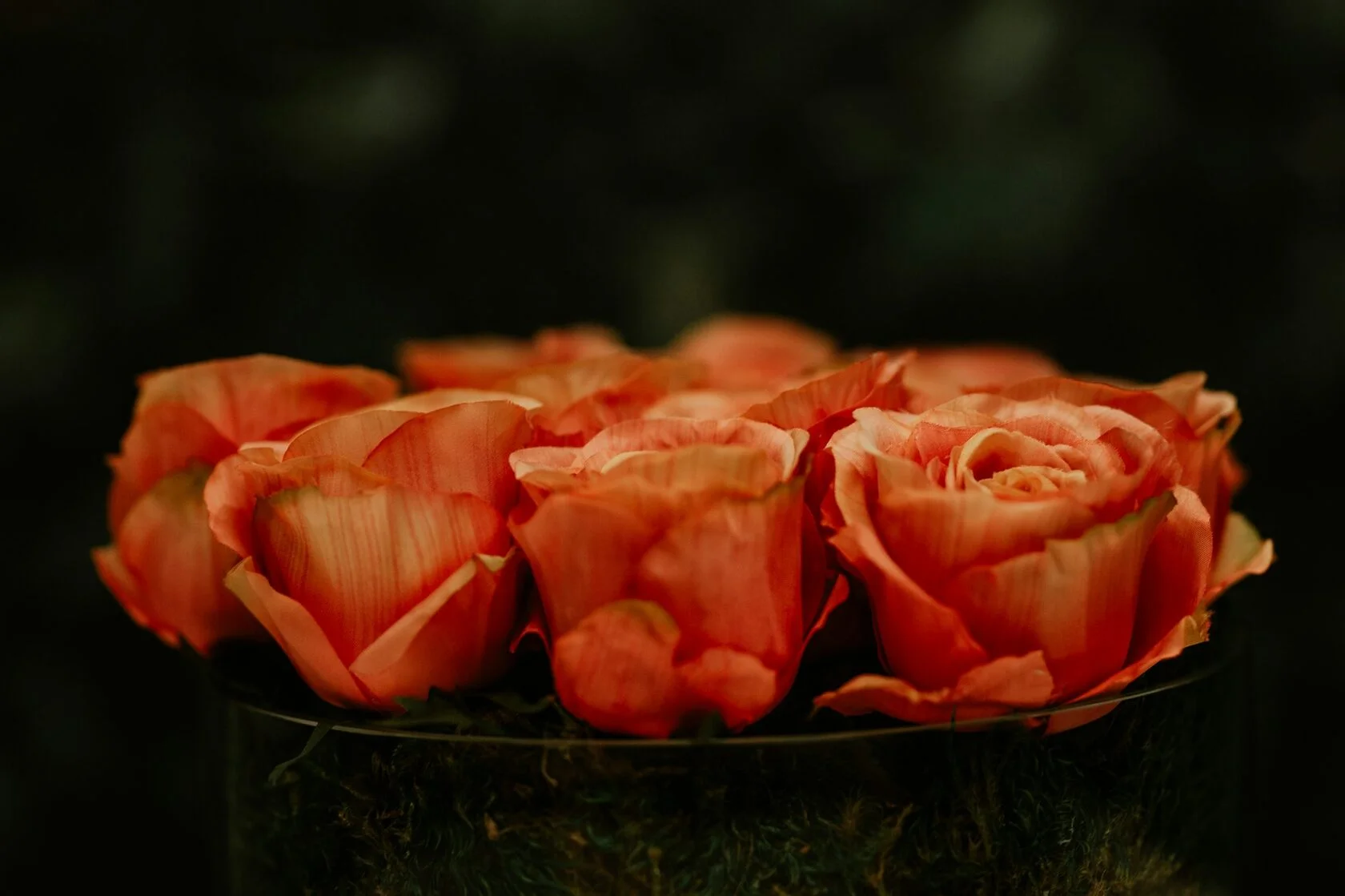 Терракотовая роза 1