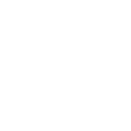 Государственная Дума