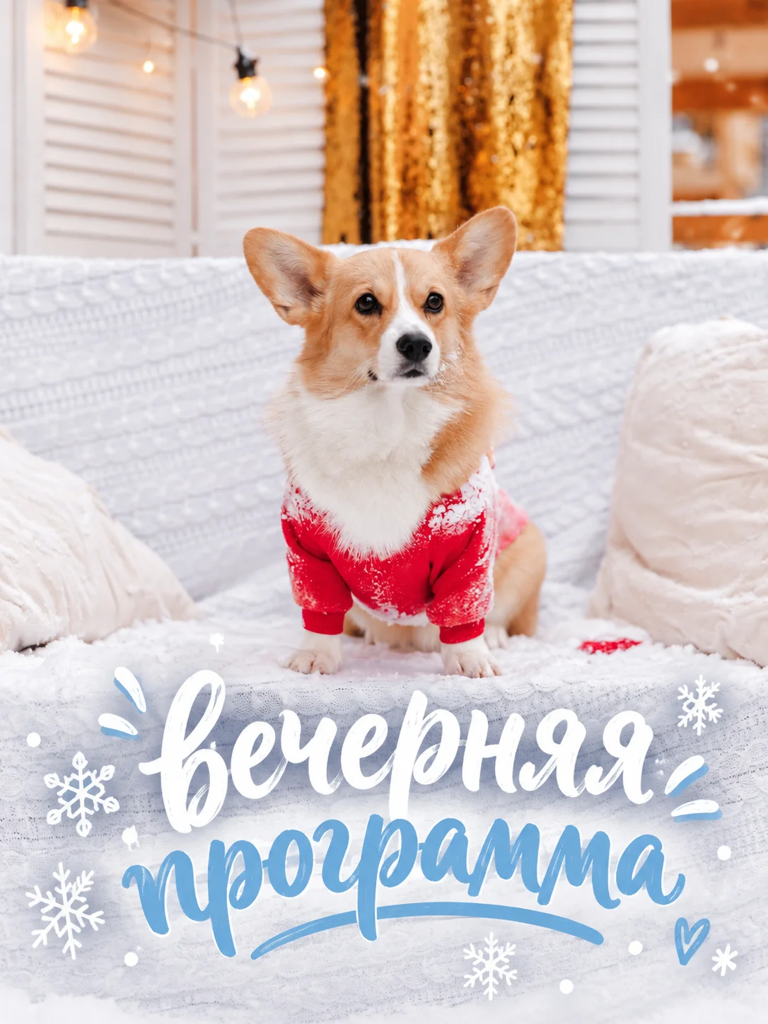 Вечерняя программа Коргия феста
