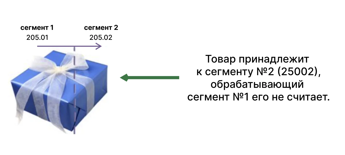 Схема товара на границе двух сегментов 205.01 и 205.02