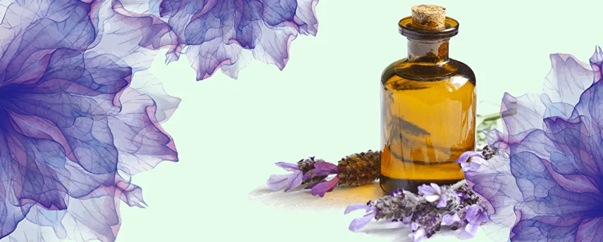 فروش اسانس لوندر خالص و ارسال به سراسر کشور