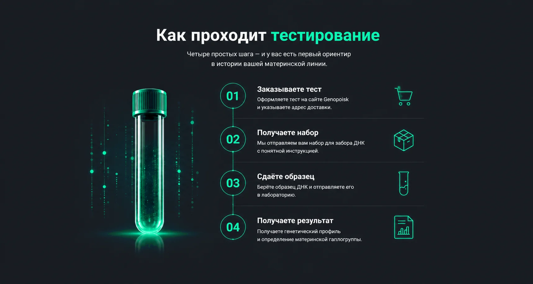 Как проходит тестирование мтДНК Базовый