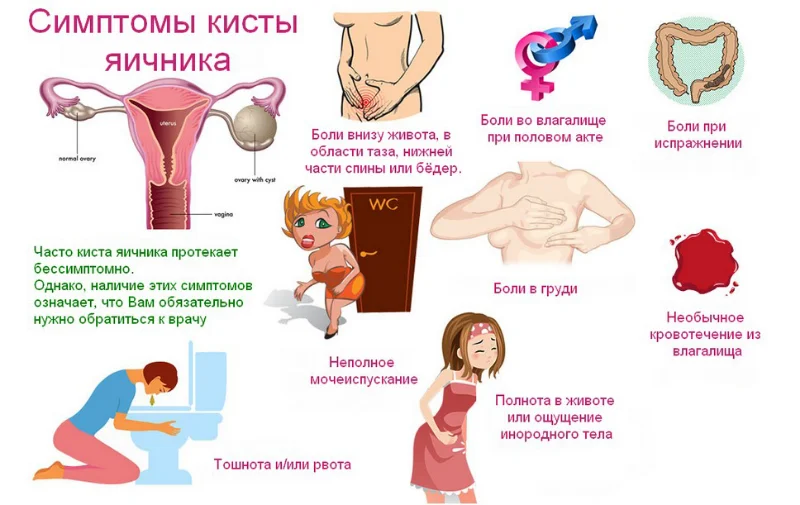 Екі бірімен порно фильмді онлайн көру Лена Беркова порно фильмдер