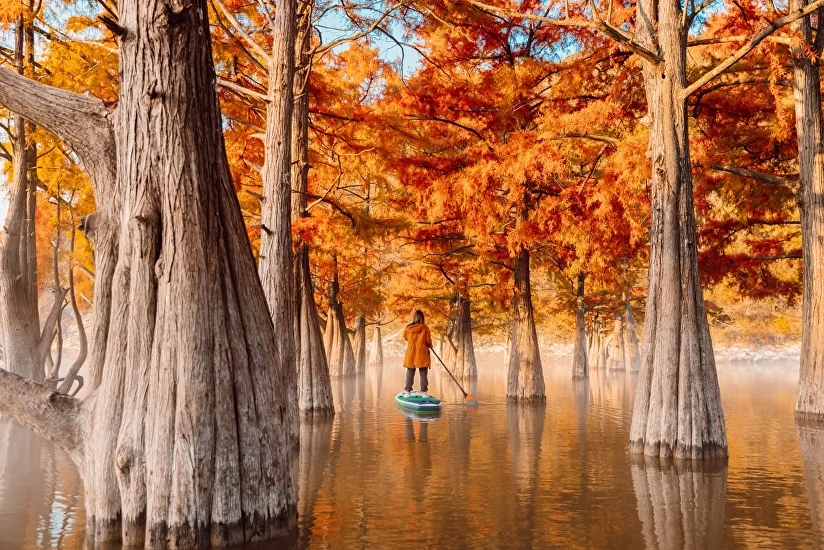 Курортные города краснодарского края список 536239999