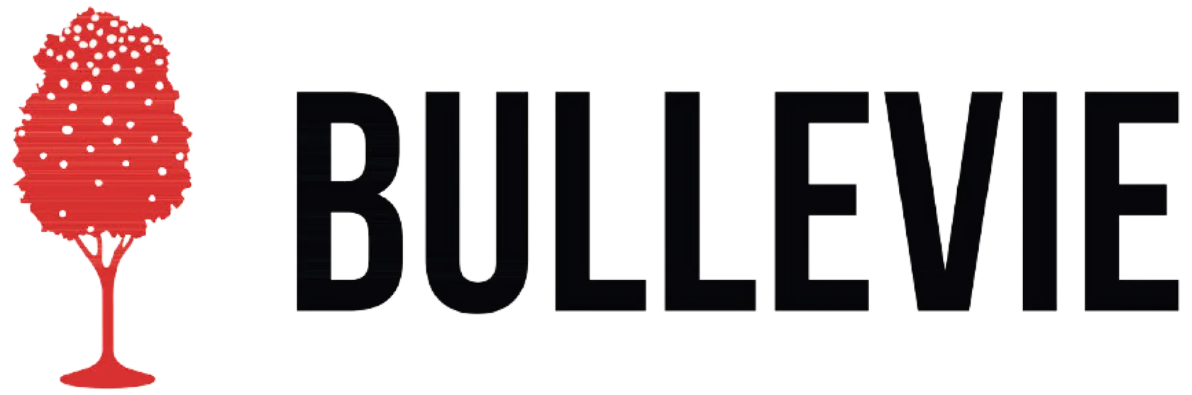 BULLEVIE CIDRE
