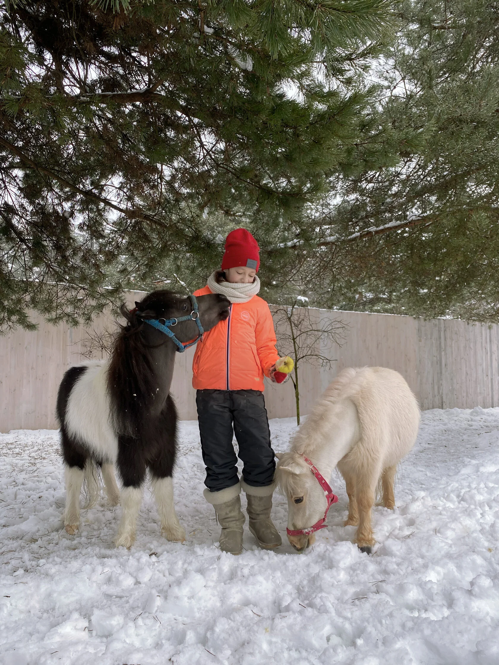 Утро в доме