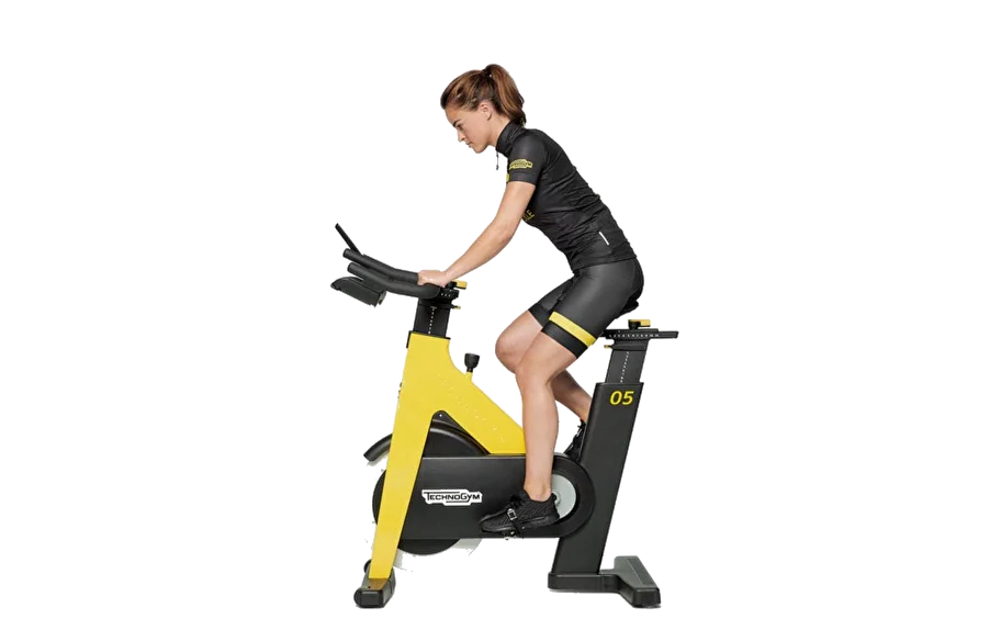 Gym spinner online