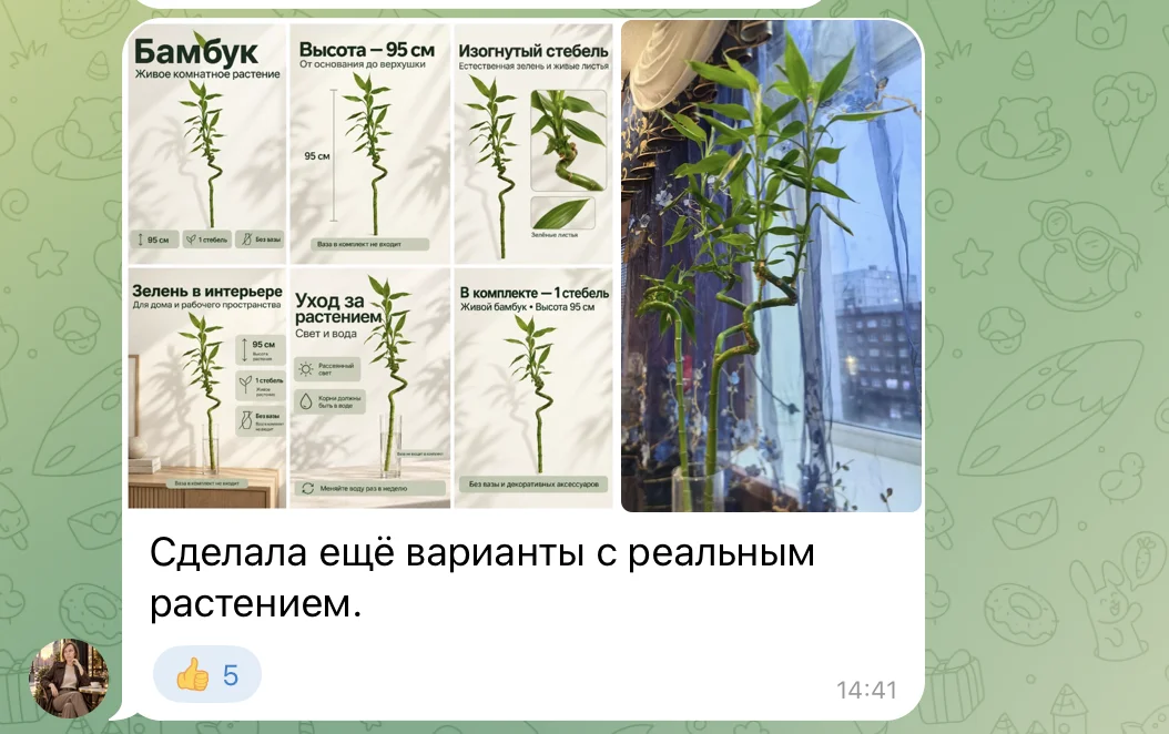 Отзыв участника и пример карточек товара