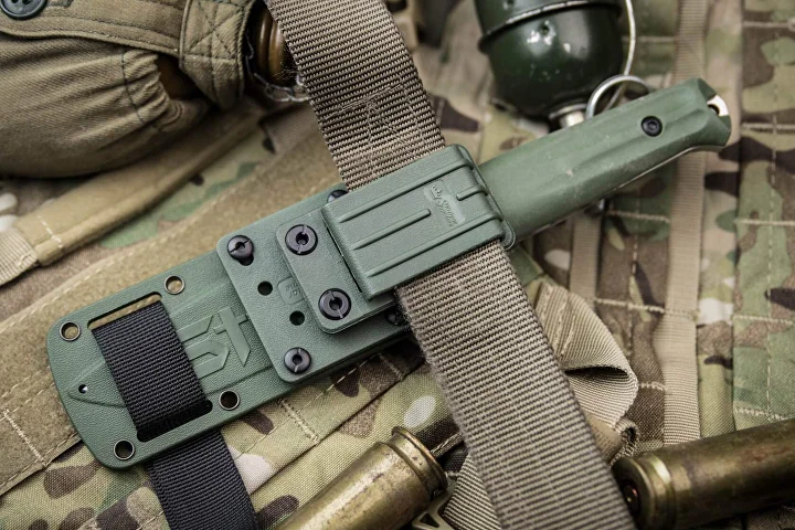 Rear mounting system on the Sturm sheath