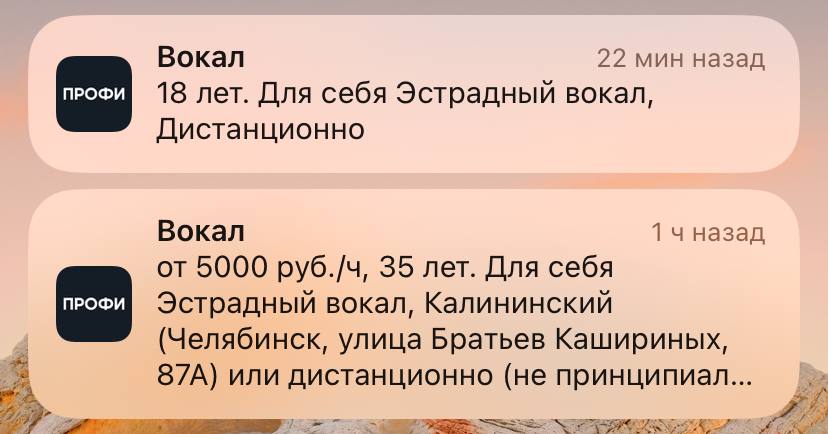 Заявка с Профи.ру