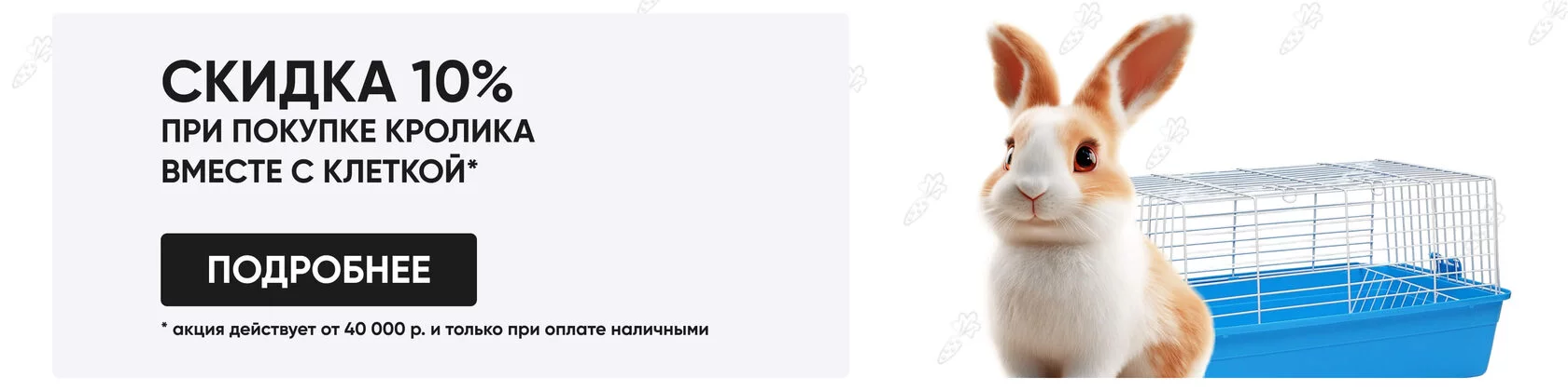 Как сделать клетку для кроликов своими руками: размеры, чертежи и пошаговое руководство | trenazer43.ru