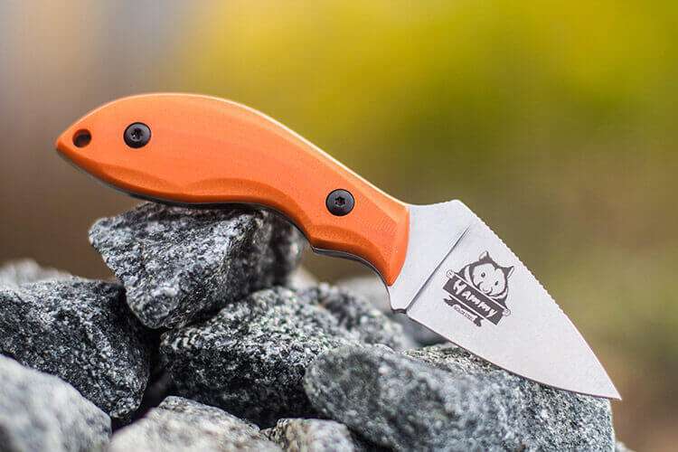 Kizlyar Supreme HAMMY outdoor knife