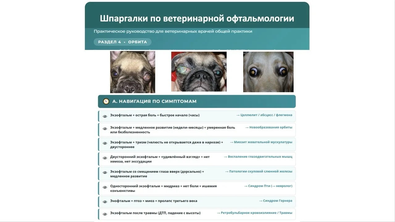 Шпаргалка 1