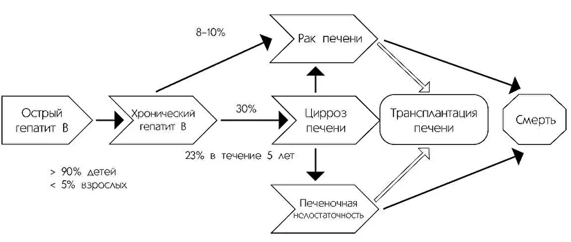 Вирусный гепатит – симптомы, признаки, причины, виды и лечение у взрослых в Москве в «СМ-Клиника»