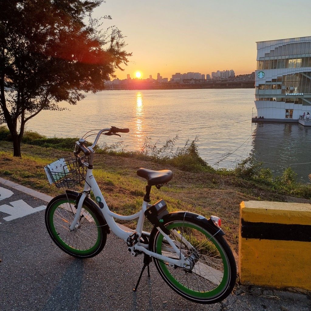 Обложка тура Seoul on Wheels