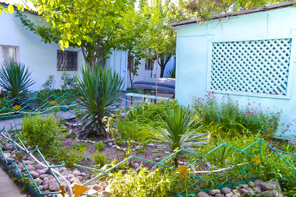 База отдыха Наладчик Николаевка