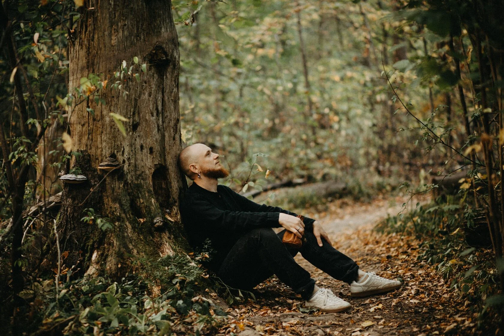 Александр Север