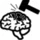 brain