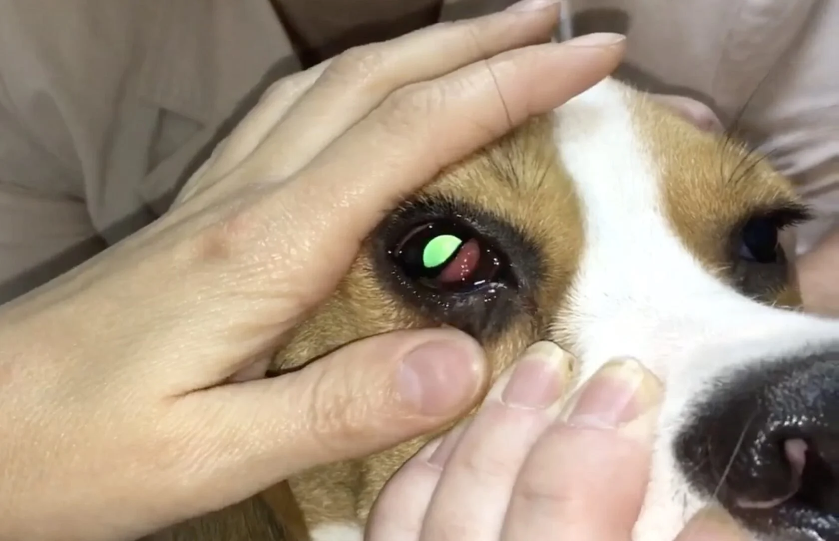 Видеоролики