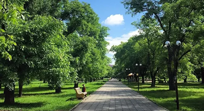 Ореховая роща