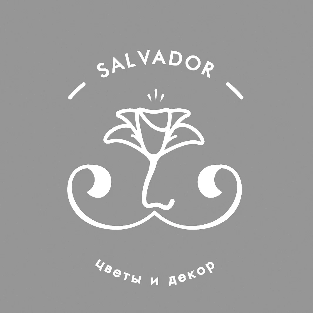 SALVADOR: о нас