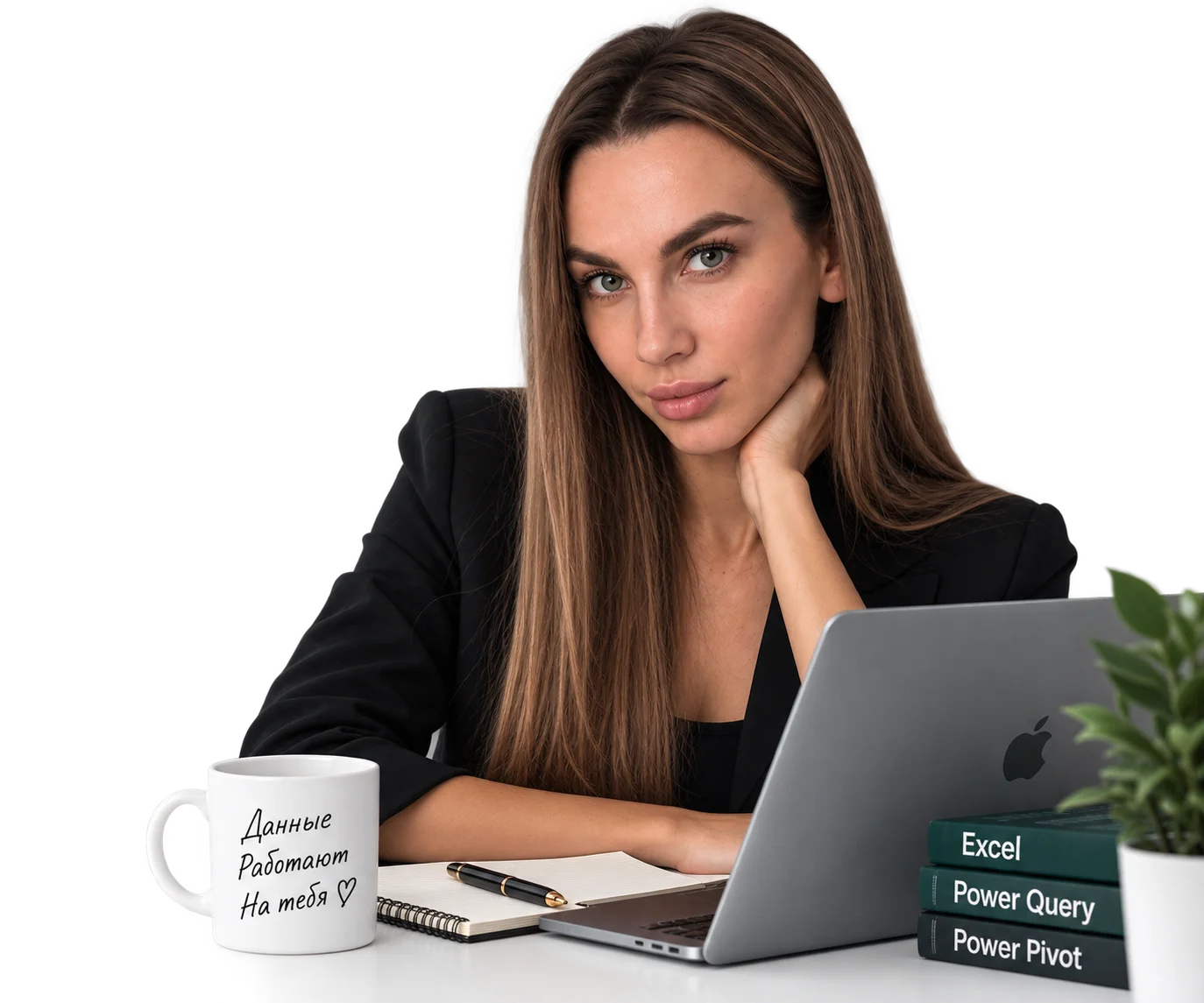 ProfitBI — Power Query и Power Pivot