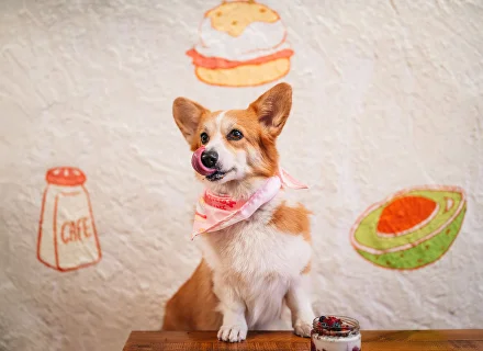 Corgi Cafè | Gòtic, photo 4