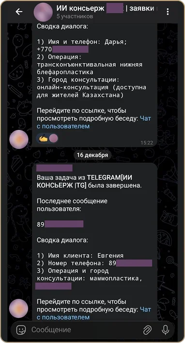 Второй пример готовой заявки онлайн-ассистента