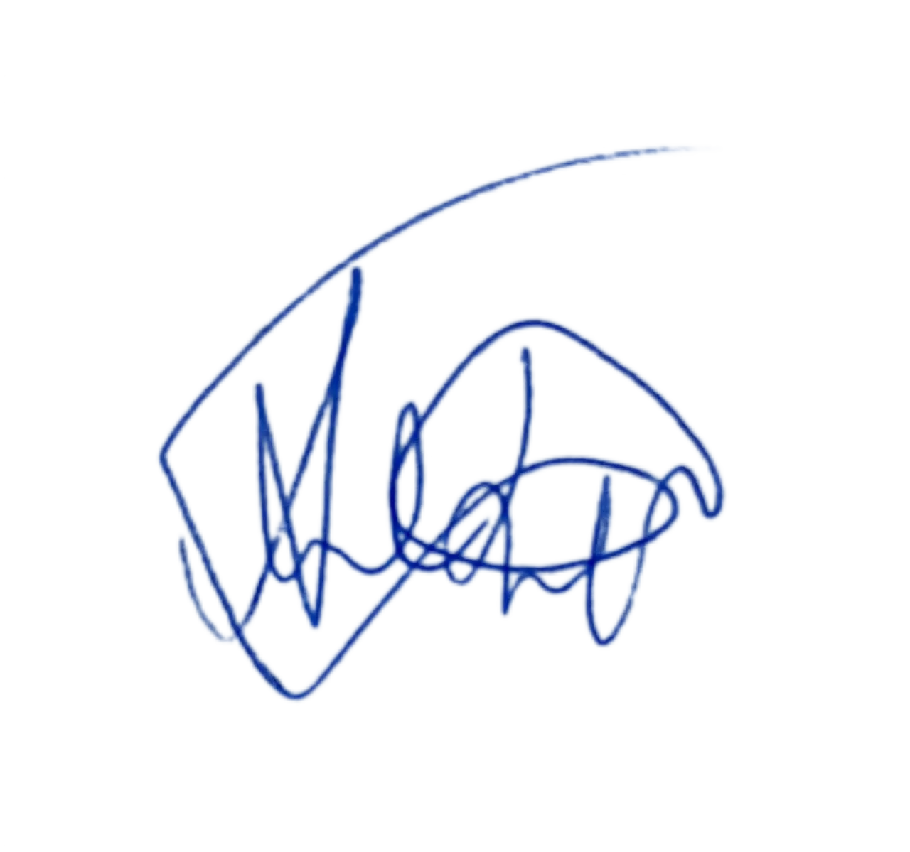 Подпись Александра Белякова