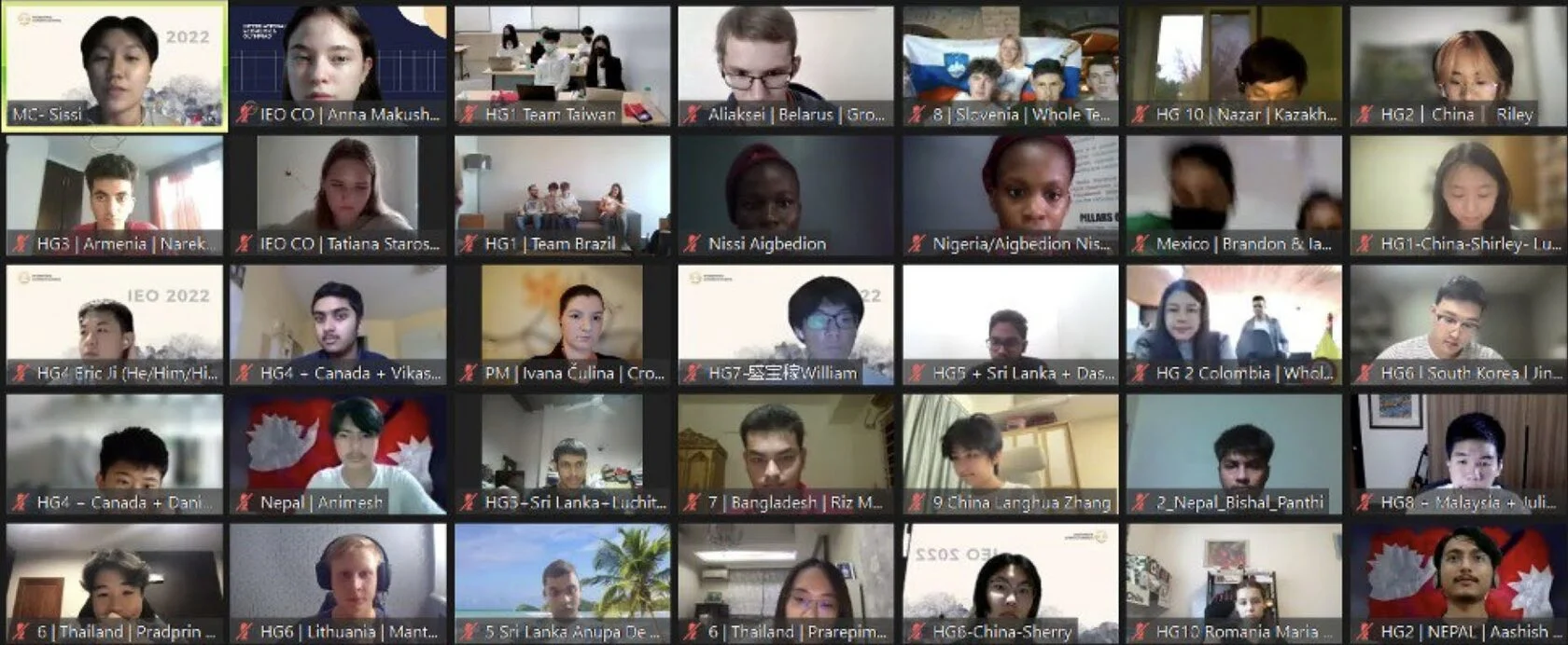 IEO alumni meeting online