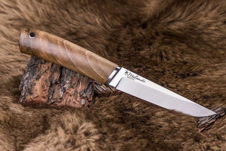 Kizlyar Supreme MALAMUTE outdoor knife